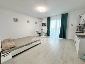 Apartament cu 1 camera mobilat si utilat in Giroc la asfalt.