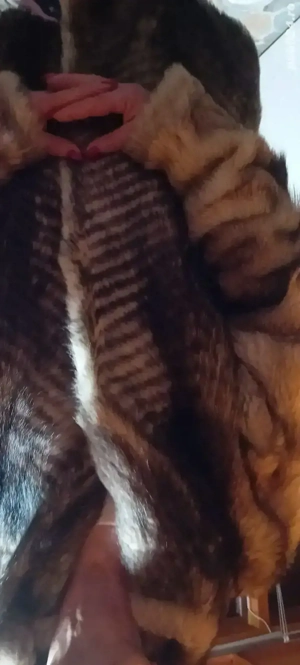 Haină lunga de blana naturala  vizon