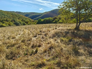 Vând teren extravilan 3,54 hectare