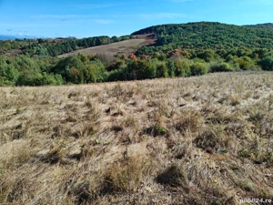 Vând teren extravilan 3,54 hectare - imagine 2