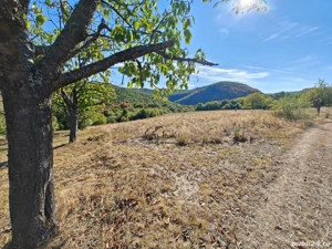 Vând teren extravilan 3,54 hectare - imagine 9