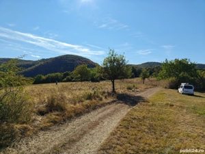 Vând teren extravilan 3,54 hectare - imagine 3