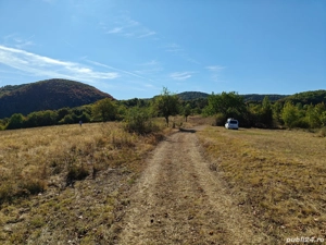 Vând teren extravilan 3,54 hectare - imagine 10