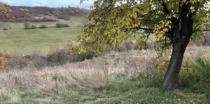 Teren de vanzare, 5800 mp, Sat Sanmarghita, jud. Cluj - imagine 2