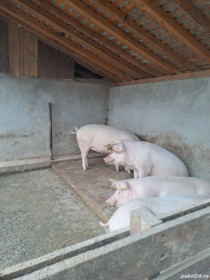 de vanzare  - imagine 2