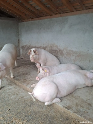 de vanzare  - imagine 3