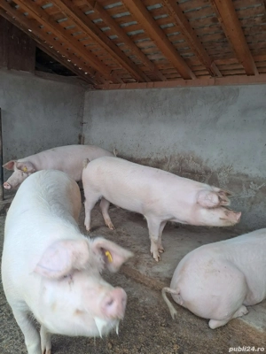 de vanzare  - imagine 4