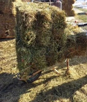 Baloți lucernă și fân  - imagine 2