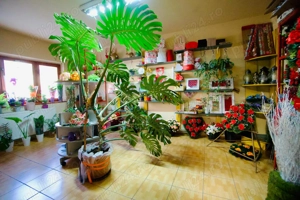 Spatiu Comercial de vanzare. - imagine 6