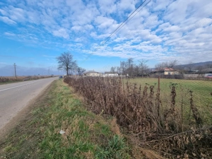 Casă + teren 2600 mp- Com. Negri- scop rezidențial sau industrial  - imagine 3