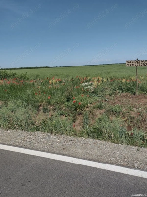 Teren Caldarusani Gradistea stradal 11800mp-Proprietar - imagine 2