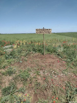 Teren Caldarusani Gradistea stradal 11800mp-Proprietar