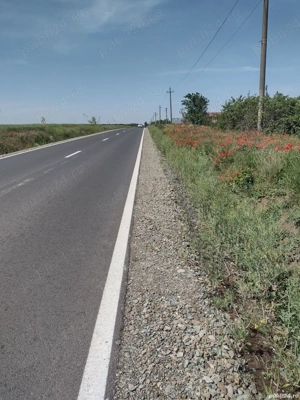 Teren Caldarusani Gradistea stradal 11800mp-Proprietar - imagine 3
