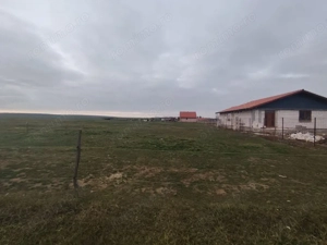 Teren intravilan in Marghita - imagine 3