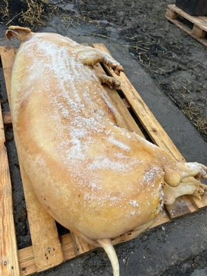 Carcasa porc - imagine 2