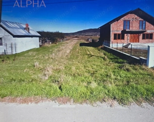 Teren intravilan de vanzare - Chintelnic, Jud. Bistrita-Nasaud - imagine 2