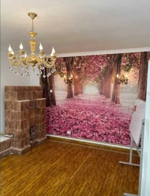 Proprietar inchiriez casa 3 camere, singur in curte, in Piata Muncii - imagine 8