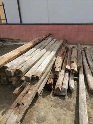 Stejar vechi de peste 150 ani. 3500 lei mc. negociabil.  