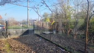 Pachet complet: casă + 800 mp Cocorastii Colt - imagine 9