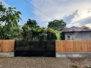 Pachet complet: casă + 800 mp Cocorastii Colt - imagine 2