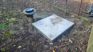 Pachet complet: casă + 800 mp Cocorastii Colt - imagine 12