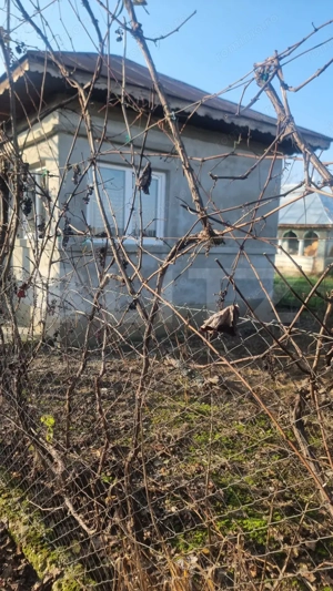 Pachet complet: casă + 800 mp Cocorastii Colt - imagine 3