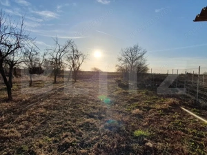 Pachet complet: casă + 800 mp Cocorastii Colt - imagine 11