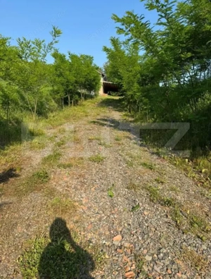 Casa de vanzare in Petrilaca - imagine 3