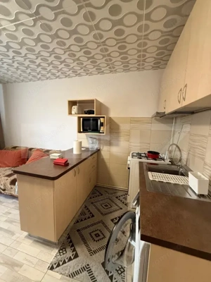 Apartament 2 camere, 42 mp, zona Teleajen  - imagine 12