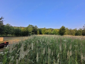 Teren 2500 mp lac Snagov - imagine 5