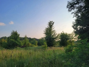 Teren 2500 mp lac Snagov