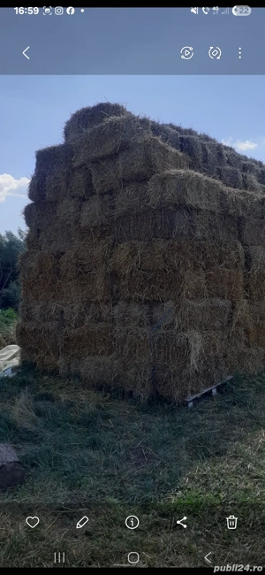 vând baloti de paie 