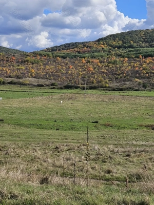 Vand Teren extravilan 7200 mp deschidere E581 - Cretestii de Sus  Husi, Vaslui - imagine 3