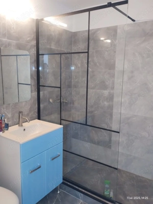 Basarabia Particular Chișinău Proprietar Delfinului  - imagine 2