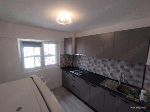 Basarabia Particular Chișinău Proprietar Delfinului  - imagine 3