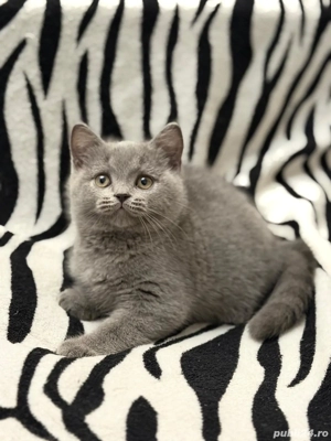 Un baiețel superb. - imagine 3