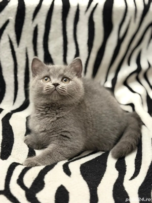 Un baiețel superb. - imagine 4