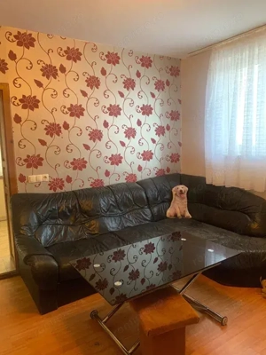 Apartament cu 2 camere pet friendly, 45 mp, situat la casa in Centrul Civic. 