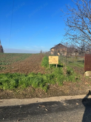 De vanzare teren 5000mp, intravilan, Glina-Strada Rasaritului. Pret: 22 euro mp. - imagine 3
