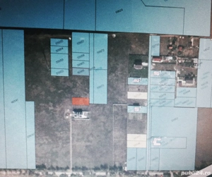 Teren pădure Cornetu, Taberei, str. Stejarului, Măgurele, 538 + 53 mp. - imagine 3