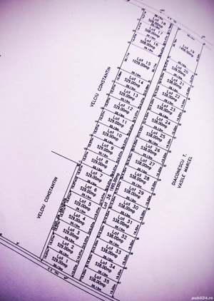 Teren pădure Cornetu, Taberei, str. Stejarului, Măgurele, 538 + 53 mp. - imagine 2