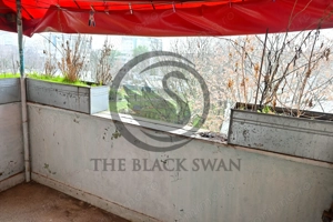 Apartament cu 3 camere de vanzare | Zona Nord, Ploiesti | Comision 0% - imagine 12