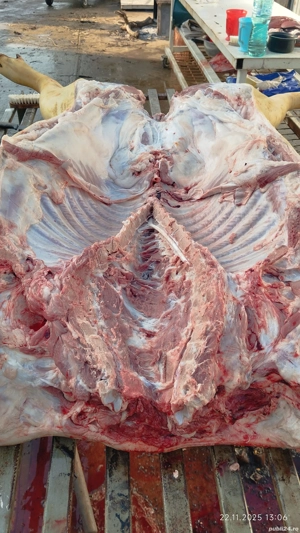 Vând carcasă porc  - imagine 3
