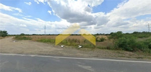 Teren 21,000 mp intravilan de vanzare centura de nord Arad - imagine 4