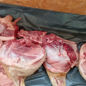 Porci pentru craciun - imagine 5