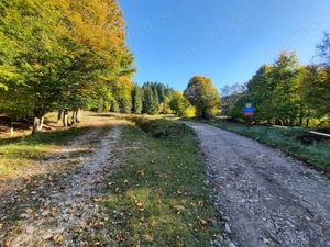 Teren de vanzare Alexandru cel bun (Jud. Neamt) Vaduri Secu - Ciungi - Ocolul Silvic 7160 mp  - imagine 4