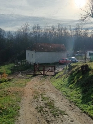 Casă de vînzare gradina și un hectar de teren 2 camere baie, coridor beci, bucătărie anexe,exe,, - imagine 4
