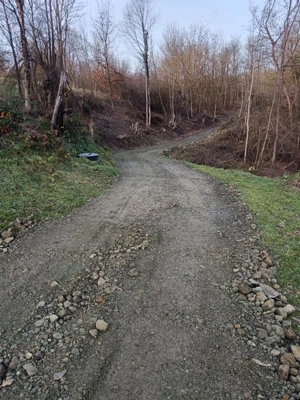 Casă de vînzare gradina și un hectar de teren 2 camere baie, coridor beci, bucătărie anexe,exe,, - imagine 3