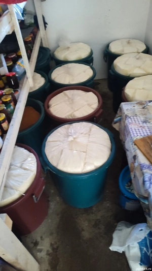 vând brânză telemea de oaie 