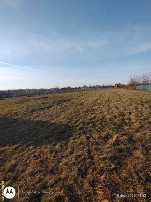 INVESTITIE ! Sacalaseni intravilan  - imagine 4